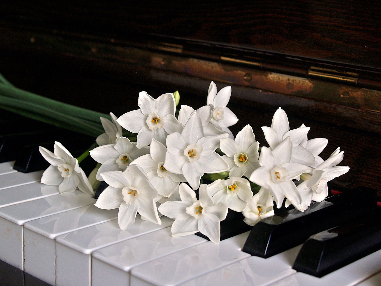 pianista para bodas Alicante